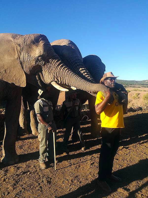 Cape Corporate Tours African Man With Elephants